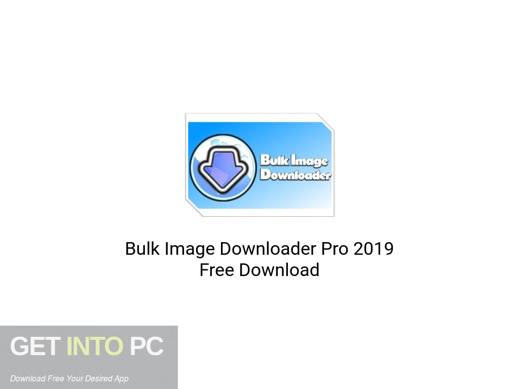 Bulk Image Downloader 6.28 download the new version for windows