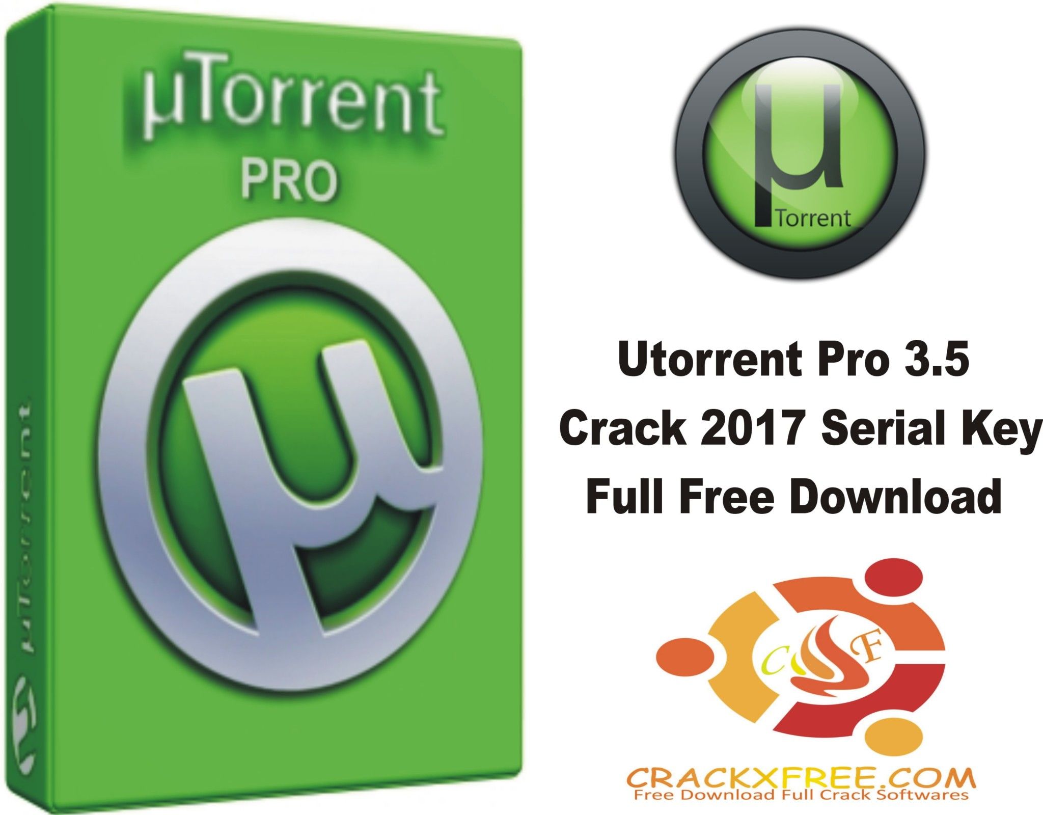 utorrent pro + crack