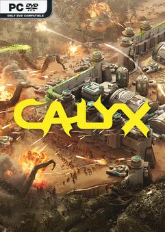 Calyx Build 22264937