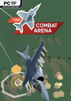 Tiny Combat Arena 20243634