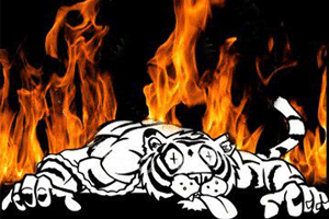 WODM Tool (Xiaomi Anti Relock Tool) – Latest version