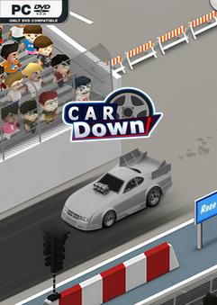 Car Down Build 22821864