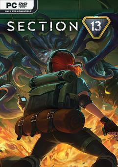 Section 13 v1.1.1