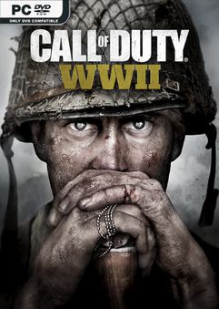 Call of Duty WWII Build 22081346