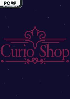 Curio Shop 24126571